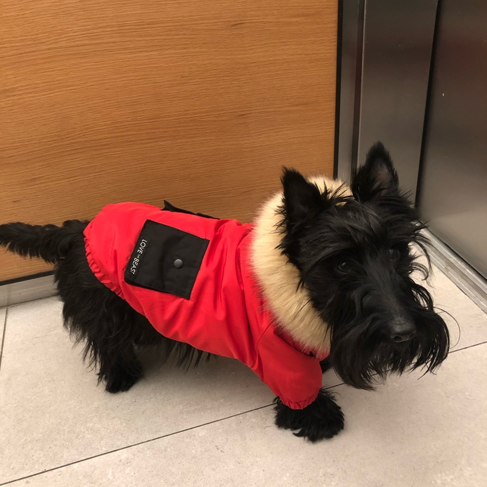 Love Thy Beast Red Winter Dog Parka